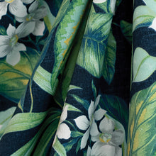 Load image into Gallery viewer, Adenium Midnight