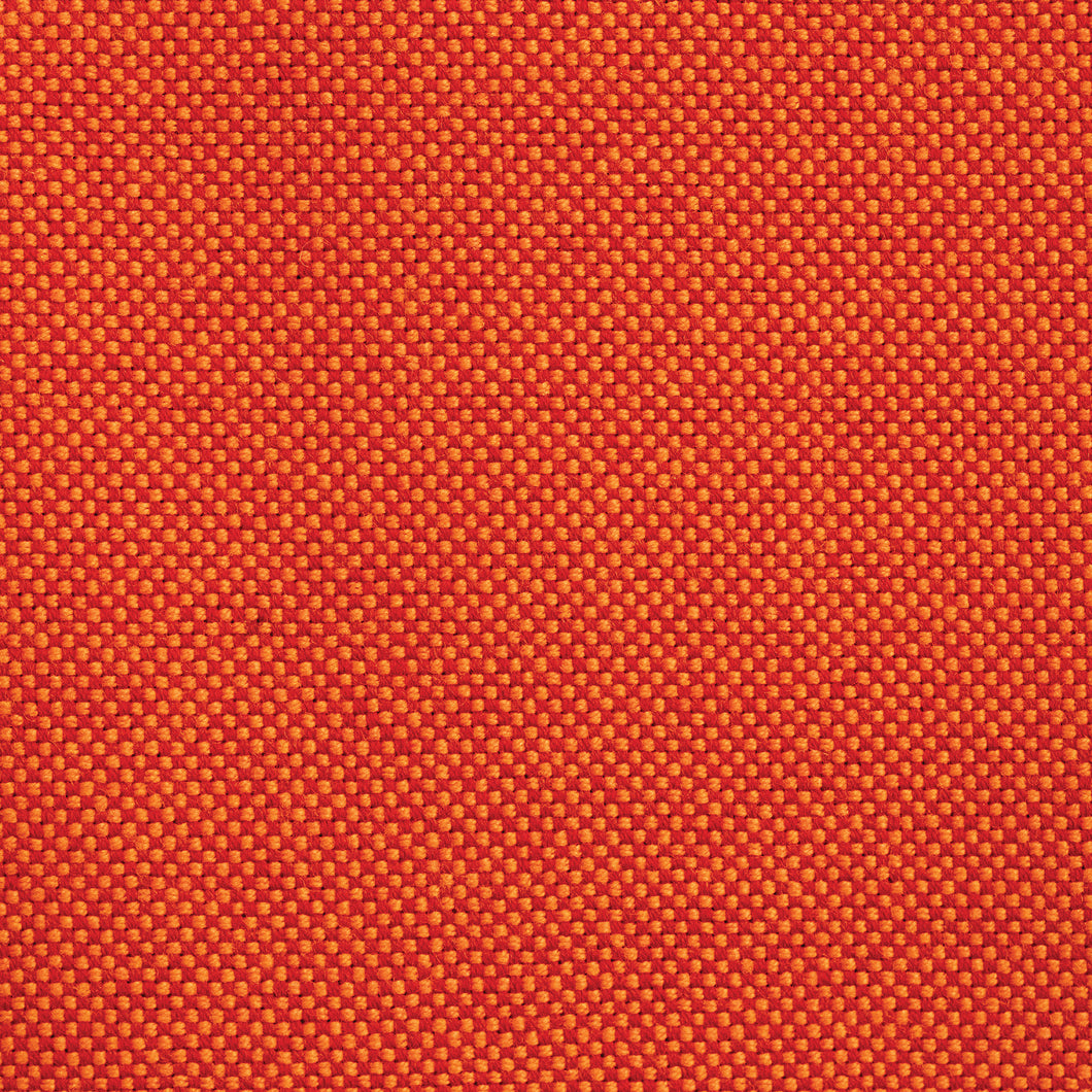 Blood Orange Wool