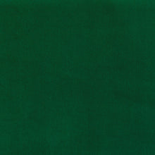 Load image into Gallery viewer, Brunswick Green Velvet Fabric
