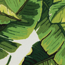 Load image into Gallery viewer, Chlorophyll