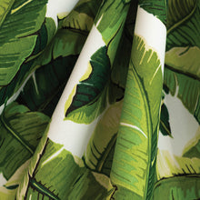 Load image into Gallery viewer, Chlorophyll