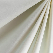 Load image into Gallery viewer, Cloud White Velvet Fabric