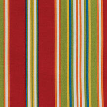 Load image into Gallery viewer, Gala Stripe