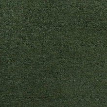 Load image into Gallery viewer, Green With Envy Upholstery Fabric