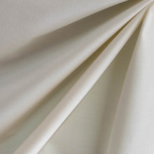 Load image into Gallery viewer, Icing Sugar White Velvet Fabric