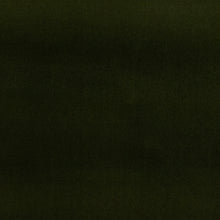 Load image into Gallery viewer, Studio Velvet Jade