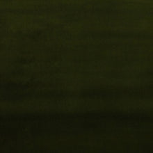 Load image into Gallery viewer, Studio Velvet Jade