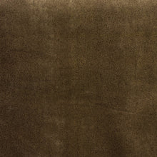 Load image into Gallery viewer, Lindworm Green Velvet Fabric
