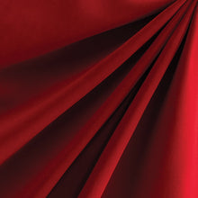Load image into Gallery viewer, Lipstick Red Velvet Fabric