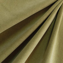 Load image into Gallery viewer, Milano Field Velvet Fabric