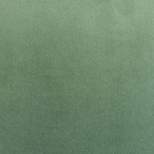 Load image into Gallery viewer, Milano Succulent Velvet Fabric