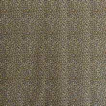 Load image into Gallery viewer, Ocelot