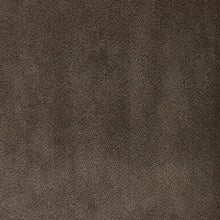 Load image into Gallery viewer, Otter Brown Velvet Fabric