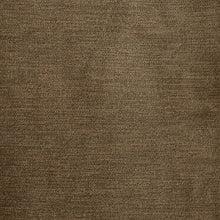 Load image into Gallery viewer, Plankton