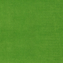 Load image into Gallery viewer, Porto Velvet Cactus