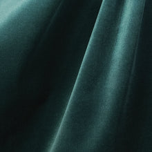 Load image into Gallery viewer, Dragonfly Studio Velvet Fabric