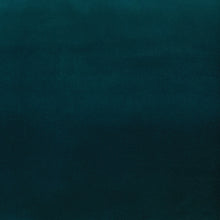 Load image into Gallery viewer, Dragonfly Studio Velvet Fabric