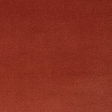 Load image into Gallery viewer, Shrimp Studio Velvet Fabric