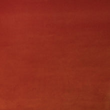 Load image into Gallery viewer, Shrimp Studio Velvet Fabric