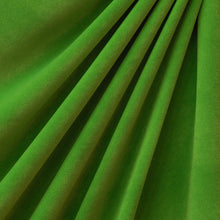 Load image into Gallery viewer, Porto Velvet Cactus