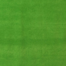 Load image into Gallery viewer, Porto Velvet Cactus