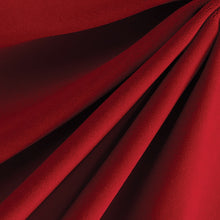 Load image into Gallery viewer, Rose Red Velvet Fabric