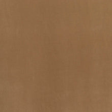 Load image into Gallery viewer, Sandcastle Beige Velvet Fabric