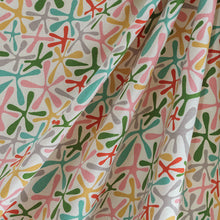 Load image into Gallery viewer, Starsquish