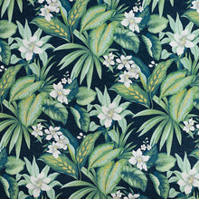 Load image into Gallery viewer, Adenium Midnight