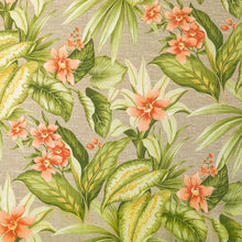 Load image into Gallery viewer, Adenium Peach