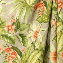 Load image into Gallery viewer, Adenium Peach