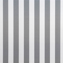 Load image into Gallery viewer, Buoy Stripe Silver