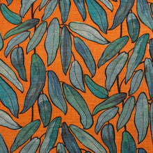 Load image into Gallery viewer, Calathea Sunset