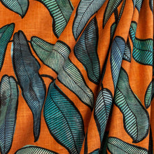 Load image into Gallery viewer, Calathea Sunset