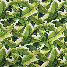 Load image into Gallery viewer, Chlorophyll