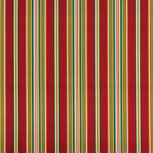 Load image into Gallery viewer, Gala Stripe