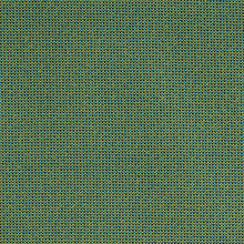 Load image into Gallery viewer, Green Jay Wool