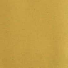 Load image into Gallery viewer, John Lemon