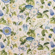 Load image into Gallery viewer, Kyoho