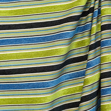 Load image into Gallery viewer, Macaw Stripe