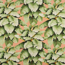 Load image into Gallery viewer, Peach Portadora