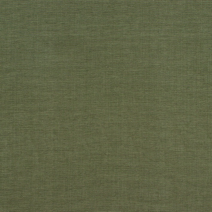 Petiole Cotton Olive