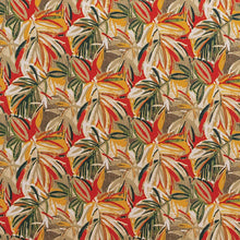 Load image into Gallery viewer, Salsa