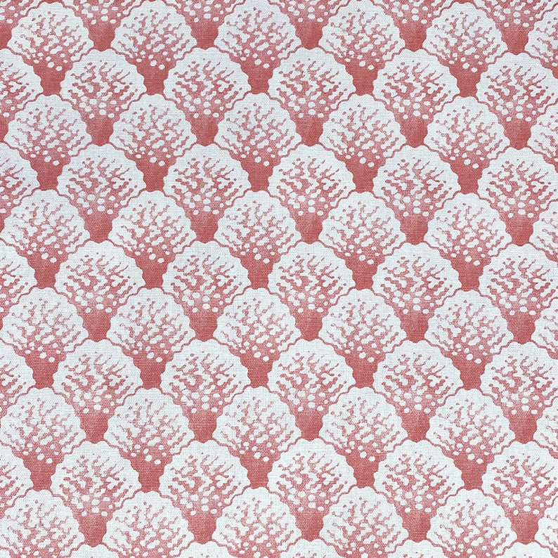 Great Barrier Flamingo